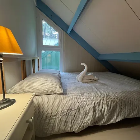 Sejour Nature Et Detente Dans La Pinede *