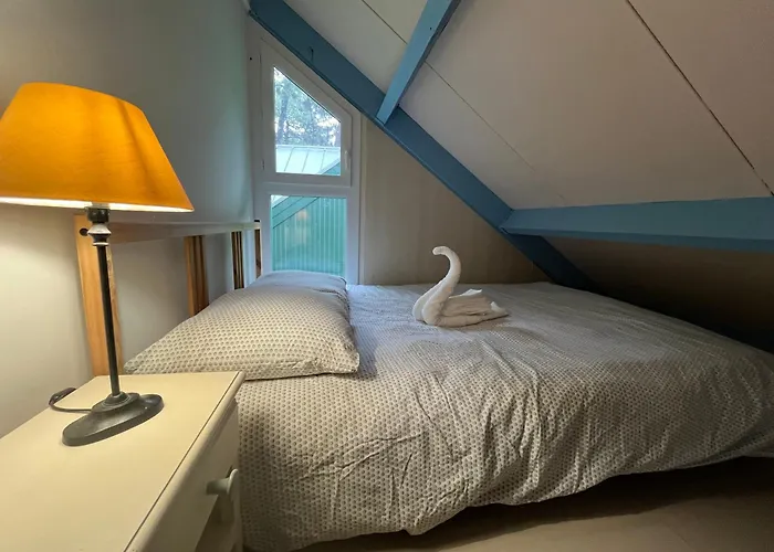 Nature Et Détente Dans La Pinède *